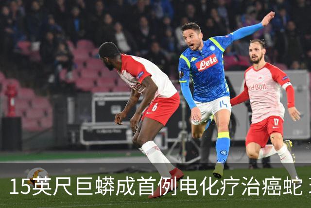 15英尺巨蟒成首例电化疗治癌蛇 现已无癌存活