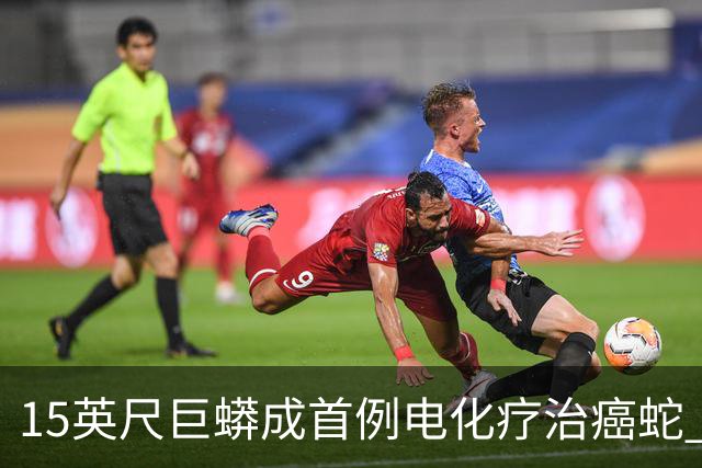 15英尺巨蟒成首例电化疗治癌蛇 现已无癌存活